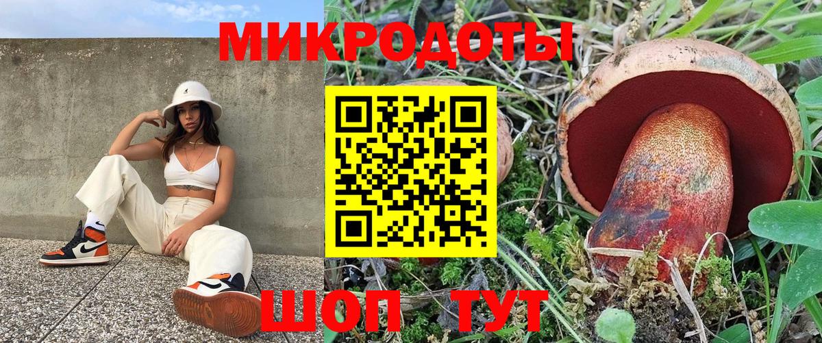 Галлюциногенные грибы Magic Shrooms Зерноград