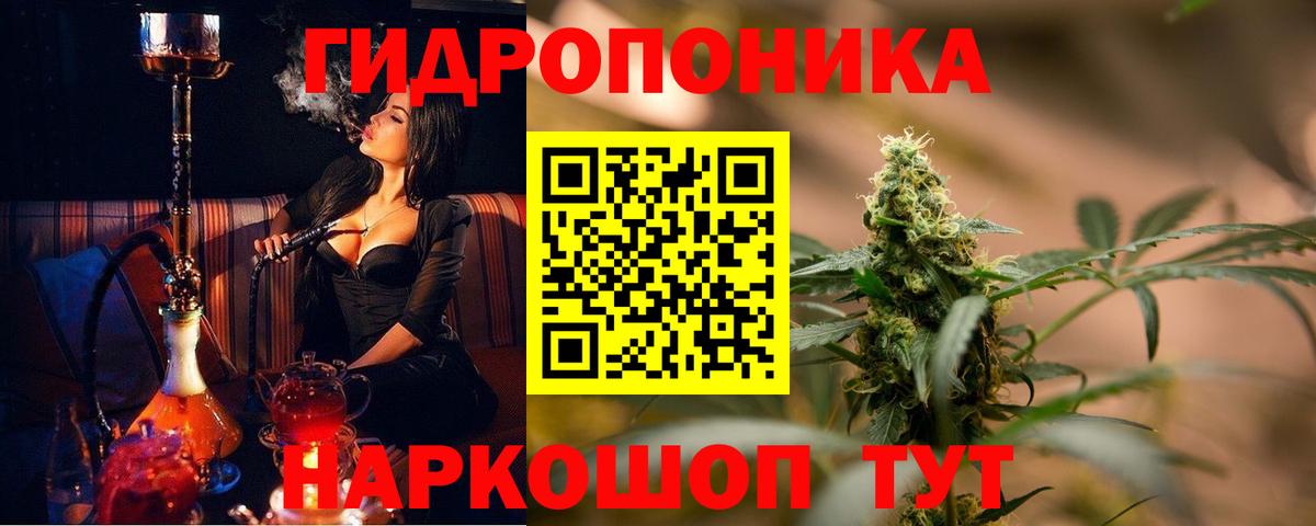Каннабис SATIVA & INDICA Зерноград
